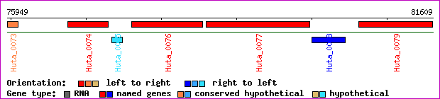 gene map