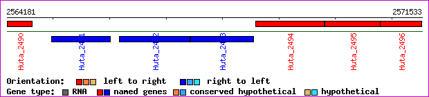 gene map