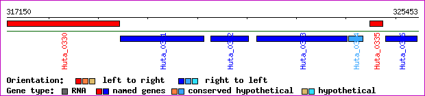 gene map