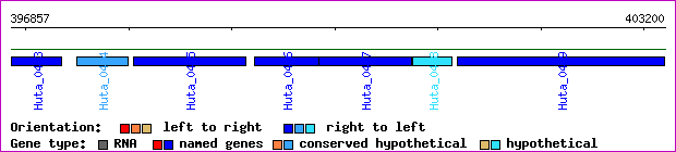 gene map