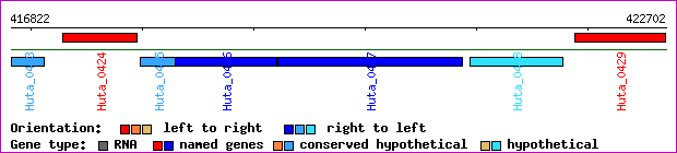gene map