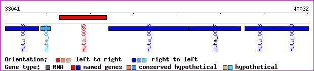 gene map