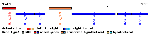gene map