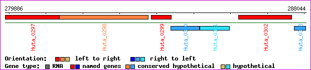 gene map
