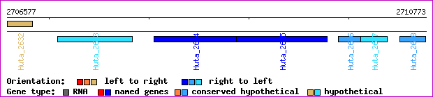 gene map