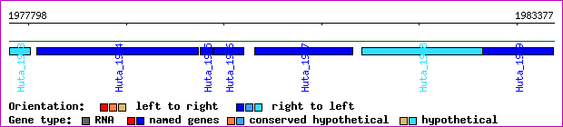 gene map