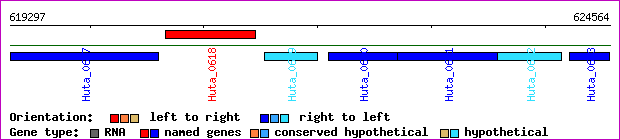 gene map