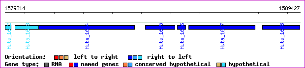 gene map