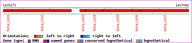 gene map