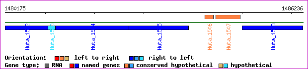gene map