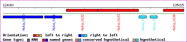 gene map