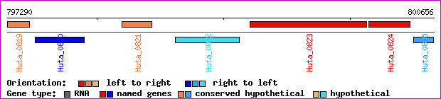 gene map