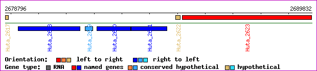 gene map