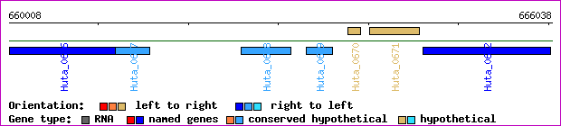 gene map