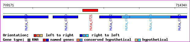gene map