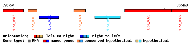 gene map