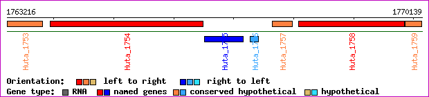 gene map