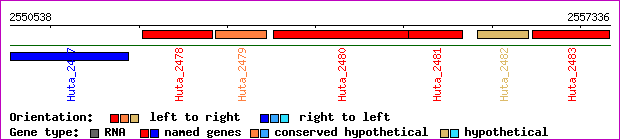 gene map