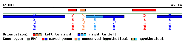 gene map