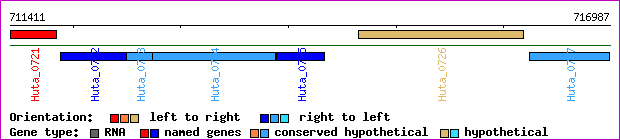 gene map
