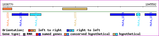 gene map