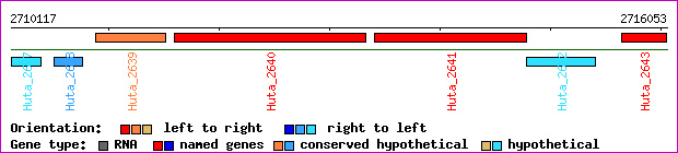 gene map