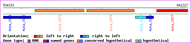 gene map
