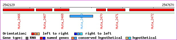 gene map