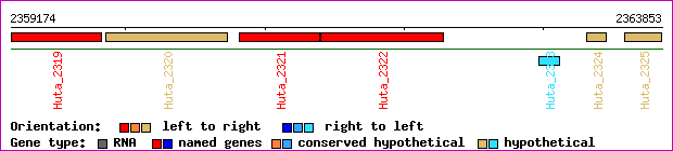 gene map