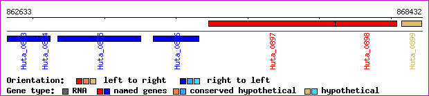 gene map