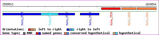 gene map