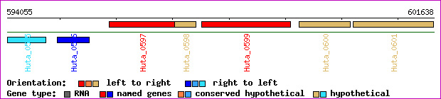 gene map