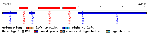 gene map