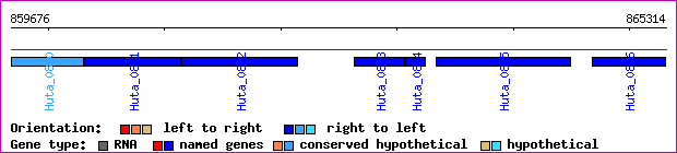 gene map