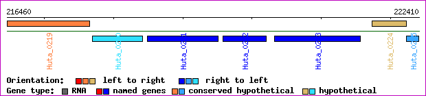 gene map