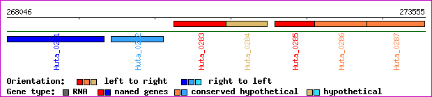 gene map