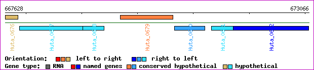 gene map