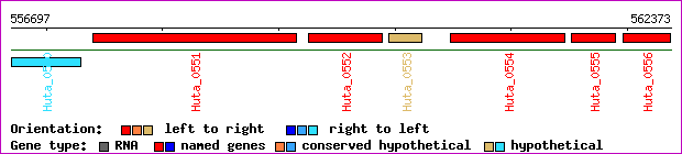 gene map