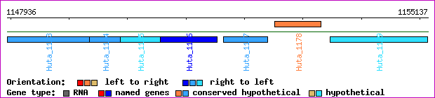 gene map
