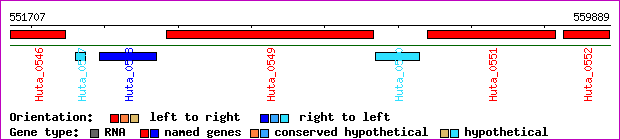 gene map