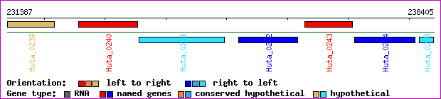 gene map