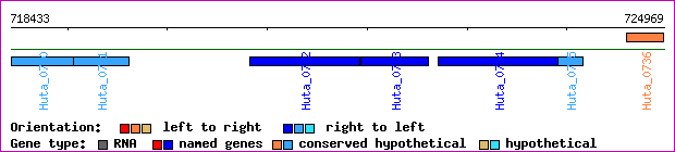 gene map