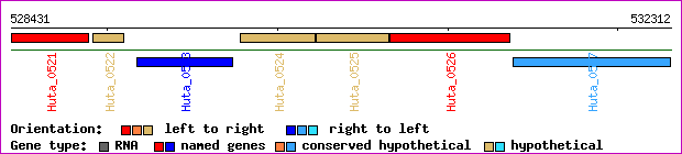 gene map