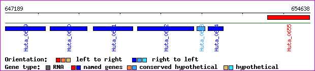gene map