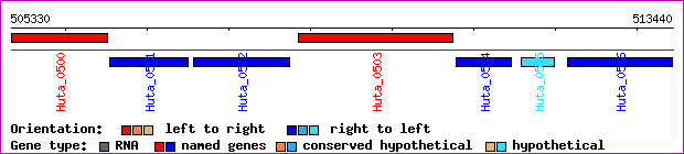 gene map