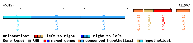 gene map