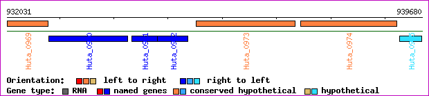 gene map