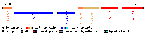 gene map