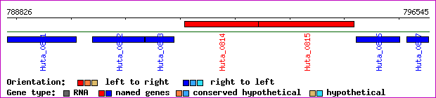 gene map