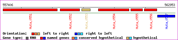 gene map